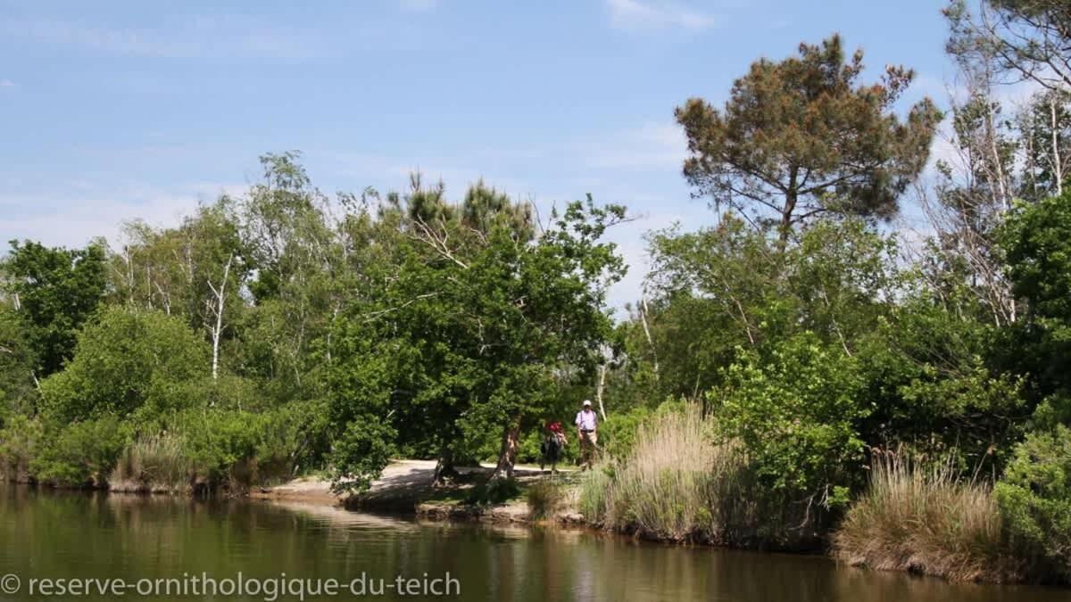 Beautiful Louisiana Villa Sleeps 6 With Pool Міос Екстер'єр фото
